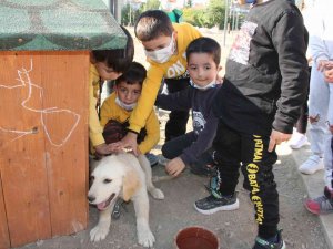 Bu Okulda Çocuklara Hayvan Ve Doğa Sevgisi Aşılanıyor