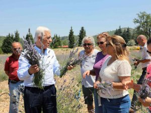 Kadın Üreticilere 97 Bin 500 Adet Tıbbi Aromatik Fidanı