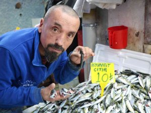 Samsun’da Mevsim Balıklarının Fiyatı 10 Tl İle 30 Tl Arasında Değişiyor