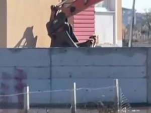 Selden Sığındıkları Binada 3 Gündür Mahsur Kalan Köpekler İş Makinesiyle Kurtarıldı