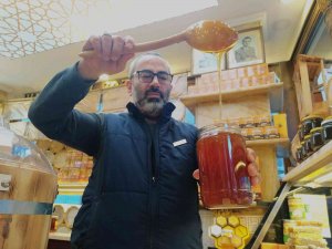 Kestane Balı Koah Hastalığına Birebir