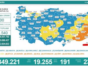 Son 24 Saatte Korona Virüsten 191 Kişi Hayatını Kaybetti