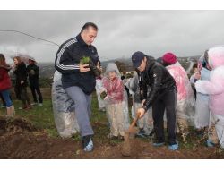 2 Bin Adet Badem Fidanı Dikildi