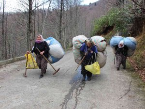 Karadeniz Kadınının Kuru Yaprak Mesaisi