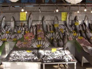 Denizlerde Kofana Bolluğu: Fiyatı 250 Tl’den 90’a Düştü