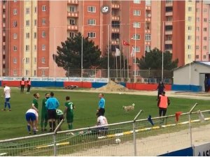 Oyun Oynamak İçin Sahaya Giren Köpek Top Yardımıyla Çıkarıldı