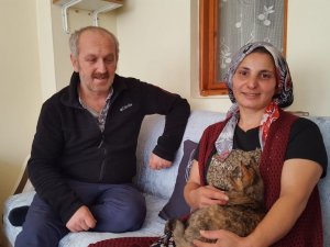 Yorganın İçine Giren Yavru Kediyi Fark Etmeyen Sahibi Çamaşır Makinesine Attı