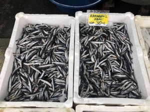 Fırtına Ve Yağışlı Havanın Etkisiyle Hamsi 30 Liradan Satılıyor