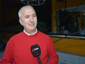 Bilim Adamından ’Hamsi’ İçin Çağrı: "Karadeniz Ülkeleri Acilen Sürdürülebilir Avcılığını Sağlamalıdır"