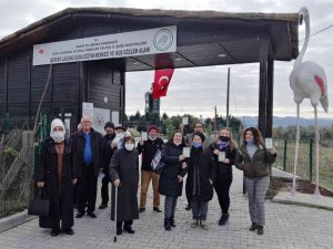 Huzurevi Sakinleri, Hersek Lagününü Gezdi