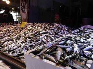 Hamsinin Fiyatı Tırmanışa Geçerek Rekor Seviyeye Ulaştı