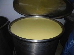 Boza Diyarına İnceleme