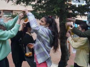 Bu Okul Hem Çevreci Hem De Hayvan Sever