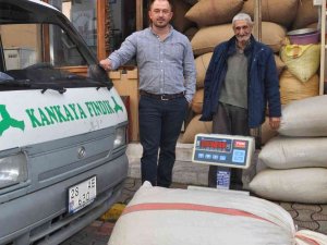 Fındık Fiyatı Rekor Üstüne Rekor Kırıyor