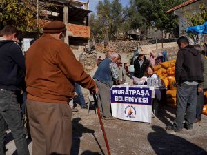 Muratpaşa’dan Gündoğmuş’a 32 Ton Hayvan Yemi