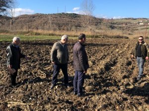 Bbp Buğday Ekerek Tarıma Giriyor