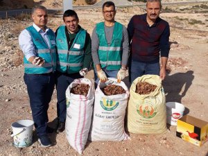 Ermenek’te Adliye Çalışanları Dik Yamaçlara Tohum Serpti