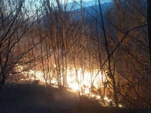 Karadeniz’de Orman Ve Bahçe Yangınlarına Dikkat