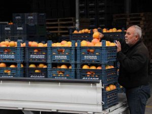 Şen: "Tarım Sektörü, Serbest Piyasa Ekonomisinin Dışında Planlanmalı"