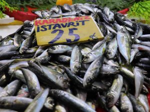 Yaşanan Bolluk Balık Fiyatlarını Düşürdü