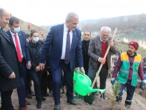 Diyarbakır Fetih 1382 Hatıra Ormanı’nda 10 Bin 918 Ağaç Dikildi