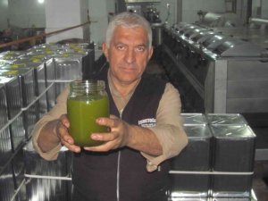 Güneydoğu’nun Tahıl Ambarı Zeytinyağı Üretiminde De İddialı