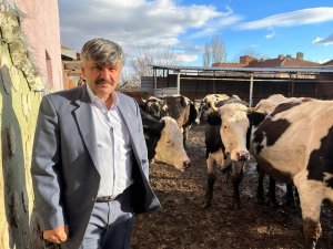 Yem Fiyatlarına Gelen Zamlar, Süt Üreticisinin Hevesini Kursağında Bıraktı