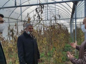 Çekerek Kaymakamı Güzel, Genç Girişimcileri Destekliyor