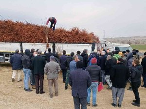 Dicle’de 111 Çiftçiye 33 Bin 880 Adet Badem, Ceviz Ve Fıstık Fidanı Dağıtıldı