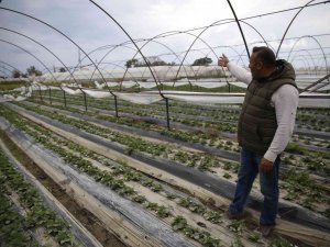 Büyükşehir’den Afetzede Çiftçilere 6 Bin Metrekare Sera Naylonu