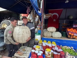 52 Kiloluk Dev Kabak Görenleri Şaşırtıyor