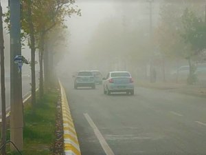 Şanlıurfa’da Yoğun Sis
