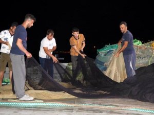 Hamsi Bu Sene Erken Göç Etti