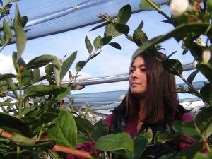 Kilosu 160 Tl’den Alıcı Bulan Yaban Mersinlerini Çocuklarından Ayırt Etmiyor