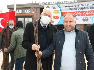 Şehzadeler’de Üreticilere Meyve Fidanı Dağıtıldı