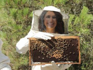 Arıcılara Teorik Ve Uygulamalı Arıcılık İle Bal Arısı Zehri Üretimi Eğitimi