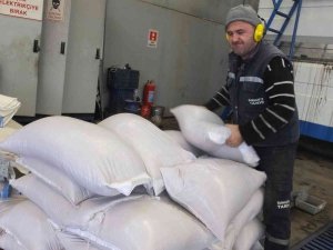 Çevre Dostu Yakıt Zeytin Çekirdeği Yok Satıyor