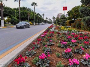 Mersin’in 4 Bini Yanı Çiçeklerle Renkleniyor