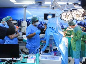 Canlı Cerrahi İle Beyin Pili Ameliyatı Eğitimi Verildi