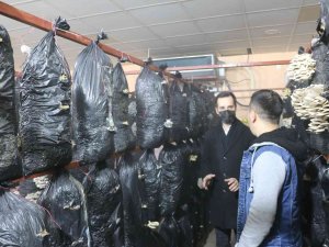 Atıl Durumdaki Prefabrik, Çiftçiler İçin Üretim Merkezine Çevrildi