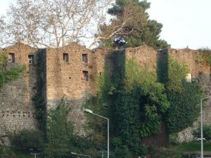 Dedelerinden Kalan Kalenin Kendilerine Devrini İsteyecekler