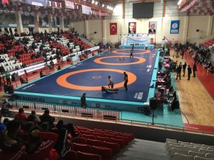 Erzincanlı Güreşçiler Türkiye Serbest Güreş Şampiyonasında Ter Döktü