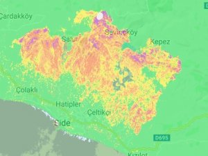 Akdeniz Üniversitesi Öğretim Üyesinden Orman Gözlemleri Ve Sel Olayları Konusunda Uluslararası Atılım