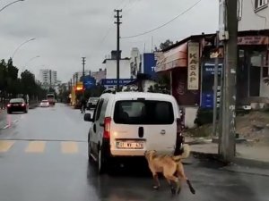 Mersin’de Tepki Çeken Görüntü