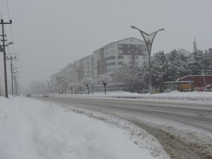 Bitlis’te 76 Köy Yolu Ulaşıma Kapandı, Okullar Tatil Edildi