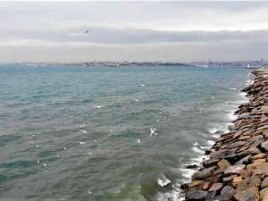 Kadıköy’de İ̇ski̇’nin Arıtma Tesisinden Bırakılan Su Denizin Rengini Değiştirdi