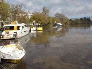 Manavgat Yangını, Küllerini 5 Ay Sonra Sel Sularıyla Irmağa Döktü