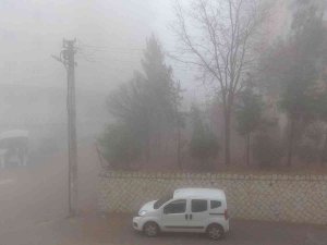 Mardin’de Yoğun Sis, Göz Gözü Görmüyor