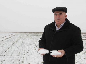 Karaman’da Son Yağışlar Çiftçiyi Sevindirdi