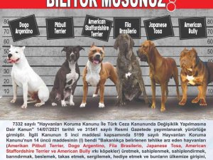 Tehlike Arz Eden Köpek Irklarında Kayıtlar İçin Son Tarih 14 Ocak